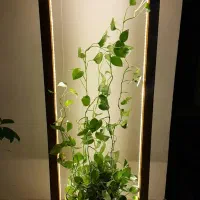 تولید انواع کتابخانه ،استند گل و گیاه