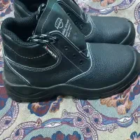 کفش کارمعاوضه باپرنده