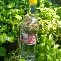 محصولات ارگانیک وخانگی یزد