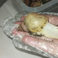 حلزون آچاتینا