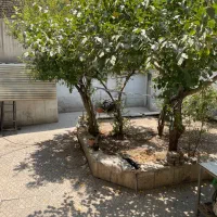 ۱۰۰متر خانه ۱۰۰متر حیاط، پیروزی امام علی