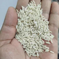 برنج سالم علی کاظمی ونیم دانه