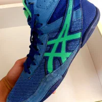 کفش کشتی|کیف، کفش، کمربند|اردبیل, |دیوار