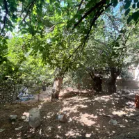 اغشت با بنا قدمت دار