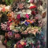 هم تیمی بخش گل و دیزاین