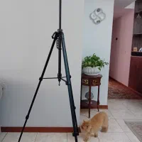 سه پایه دوربین|دوربین عکاسی و فیلم‌برداری|پردیس, فاز ۲|دیوار