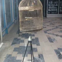 قفس طلایی بزرگ