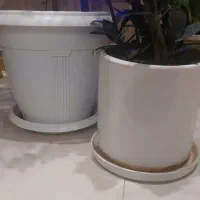 گلدان گل سفالی