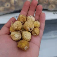 انجیر استهبان تازه با کیفیت|خوردنی و آشامیدنی|شیراز, شهرک رضوان|دیوار