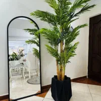 درختچه های وارداتی
