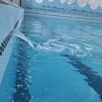 نیروی خدمات استخر