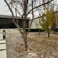 350متر-باغ-ویلای-سند-دار-خوش-ساخت-محدوده-شهریار