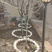 باغبانی هرس کاری تیلر زدن تعویض گلدان گل خاک کود|خدمات باغبانی و درختکاری|مشهد, نوید|دیوار