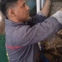 برق کاری ساختمان برق کاری صنعتی|خدمات پیشه و مهارت|پیشوا, |دیوار