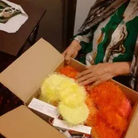 ظرف لطفا نگاه کنید  همه رنگی