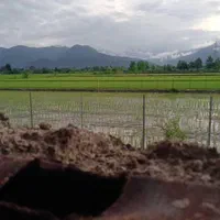 خانه و محوطه 5 هکتاری|فروش دفتر صنعتی، کشاورزی، تجاری|رشت, گلسار|دیوار