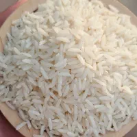 برنج زرده دم گیلان بدون قاتی و خورده