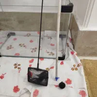 اکواریوم ولوازم|ماهی|قم, انسجام|دیوار