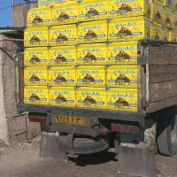 زغال لیموی سکه،مجلسی،تراش زغال کبابی