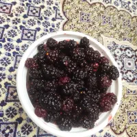 شاتوت