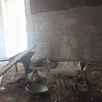 استا بنا