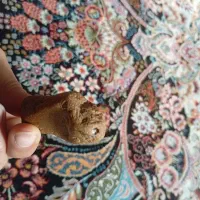 سنگ قیمتی نایاب شهاب سنگ|کلکسیون اشیاء عتیقه|ایلام, |دیوار