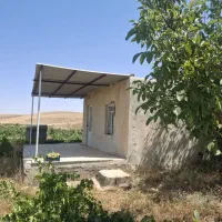 باغ انگور و میوه|فروش زمین و ملک کلنگی|شراء, |دیوار