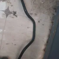 لوازم موتور|قطعات یدکی و لوازم جانبی|تاکستان, |دیوار