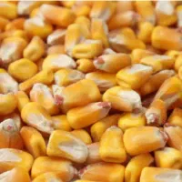 حمل بار سایپاکمپرسی|خدمات حمل و نقل|سقز, |دیوار