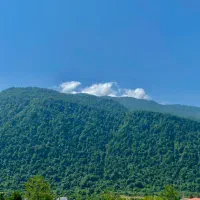 فروش زمین ۳۷۱ متری شهرکی  داخل بافت در نوشهر