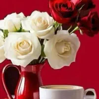 مقداری پول پیدا شده