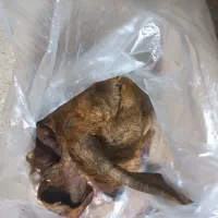 دوتا کله پاچه باهم ۱میلیون