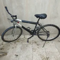 دوچرخه 24 درحدنو