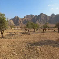 فروش-300متر-زمین-حسین-آباد-تنگ-چنار