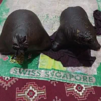 خیگ روغن