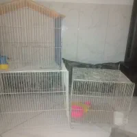 قفس پرنده