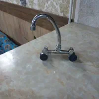 شیر دوقلو ب ای اشپزخانه۲۰۰۰۰۰۰