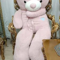 خرس ولنتاین|اسباببازی|سهند, |دیوار