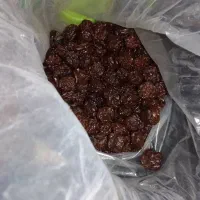 فروش خشکبار آذربایجان|عمده‌فروشی|شیراز, کاراندیش|دیوار