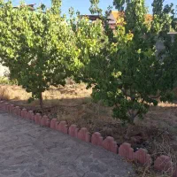 150متر-نقلی-آماده-با-درخت-و-آب-گرمابسرد-دماوند