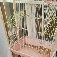قفس پرنده