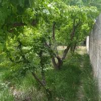 قطعات ۳۲۰متری آب برق گاز /سهیلیه سنقرآباد چ بافت