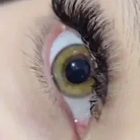 مدل جهت تکمیل آلبوم کاری اکستنشن مژه|خدمات آموزشی|پیشوا, |دیوار