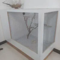 قفس چوبی