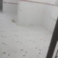 بنا/بنای استا کار سیمانکاری تعمیرات صفرتاصد