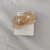بدلیجات نو