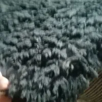 قالیچه|فرش|شیراز, شریف‌آباد|دیوار