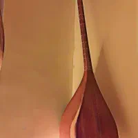 فروش و آموزش دوتار شرق خراسان