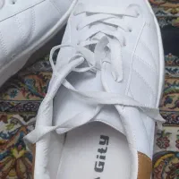 کتانی سایز۴۳