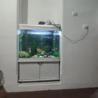 اکواریوم95/150|ماهی|تهران, جنتآباد مرکزی|دیوار